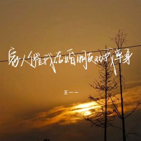 Download track 家人催我结婚朋友劝我单身 王一一