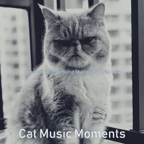 Download track Incredible Ambiance For Resting Cats Cat Music Moments