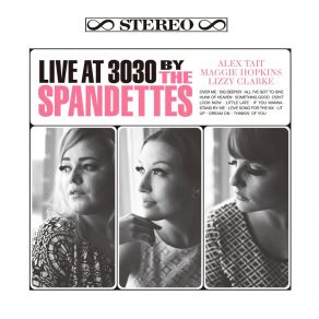 Download track Lit Up (Live) The Spandettes