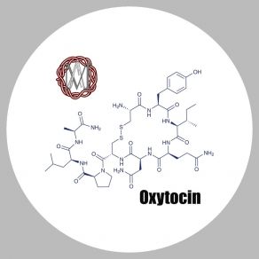 Download track Oxytocin (Original Mix) Oma AmO