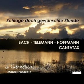 Download track 2. Recitativo Tenor: Mein Leben Hat Kein Ander Ziel Il Gardellino