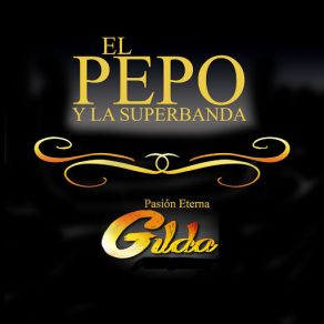 Download track Y Voló Voló (En Vivo En Pasión) (Rocio Quiroz) El PepoRocio Quiroz