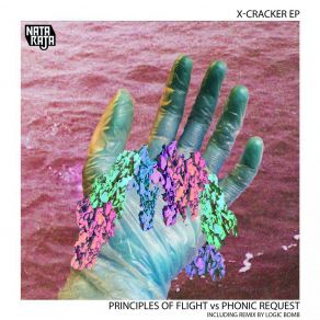 Download track Equinox Phonic Request, Principles Of Flight