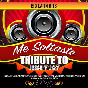 Download track Me Soltaste (Tribute To Jesse & Joy) (Acapella) Brava HitMakersJoy, Acapella