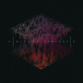 Download track Voltage Vinifera