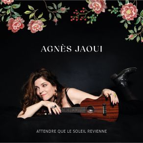 Download track Mon Prince Ne Viendra Pas Agnès Jaoui