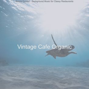 Download track Vivacious Ambiance For Classy Restaurants Vintage Cafe Organic