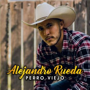 Download track No Me Valoraste Alejandro Rueda