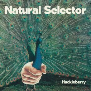 Download track Natural Selector Huckleberry