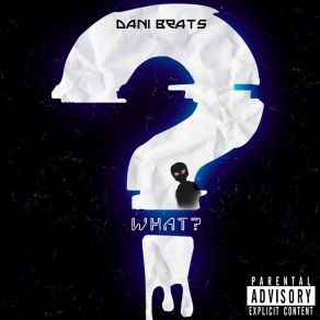 Download track The End Dani Beats