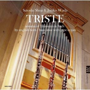 Download track 08 J. S. Bach _ Sonata For Viola Da Gamba & Harpsichord No. 2 In D Major, BWV 1028 - IV. Allegro Satoshi Shoji, Junko Wada