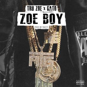 Download track Zoe Boy Truzoe And Gato