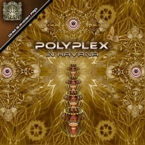 Download track One Night With Molly (Dark Version) Polyplex