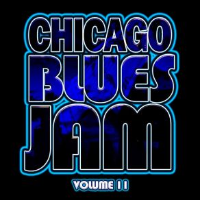 Download track Down Home Blues Chicago Blues Jam