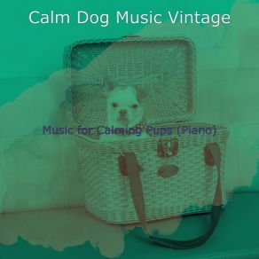 Download track Exciting Walking Doggies Calm Dog Music Vintage