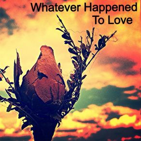 Download track Whatever Happened To Love Lee Winright