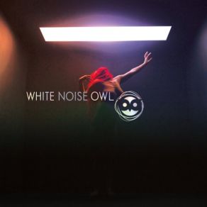 Download track Feed White Noise Owl