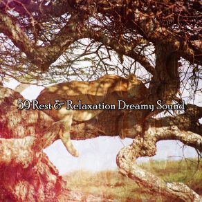 Download track Signature Rest Deep Sleep Relaxation