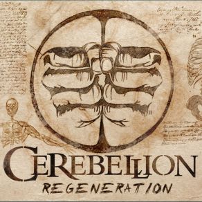 Download track All Came To Light Cerebellion