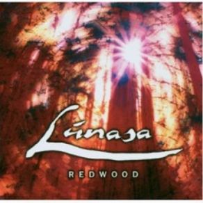 Download track Welcome Home: Welcome Home Grainne / I Have A House Of My Own With A Chimney Built On Top Of It / Rockfield Reel Lúnasa