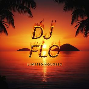 Download track La Nuit S'enflamme DJ Flo