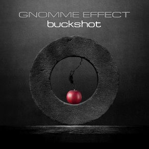 Download track Fridolin Gnomme Effect