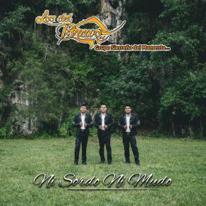 Download track El Poema Los Del Bravo Grupo Sierreño Del Momento