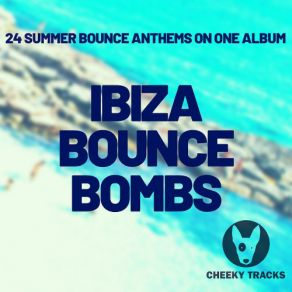 Download track Beach Bouncer (Radio Edit) Doctor B