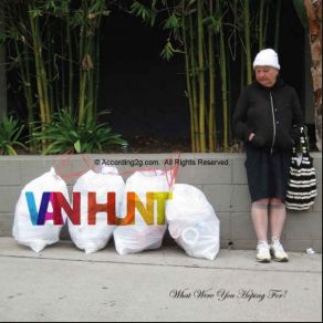Download track What Were You Hoping For? Van Hunt