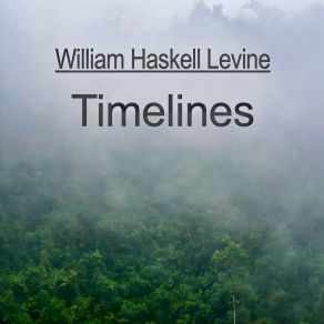 Download track 8 Illusions William Haskell Levine