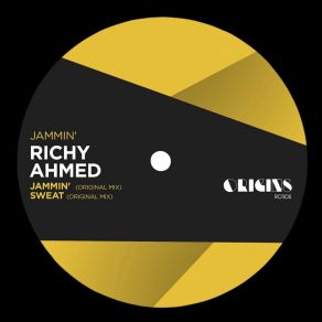 Download track Jammin' (Edit) Richy Ahmed