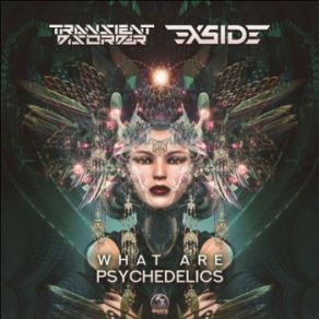 Download track What Are Psychedelics X - Side, Transient Disorder