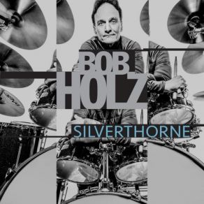 Download track Pick Myself Up Bob Holz