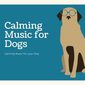 Download track Dog Treats! Calming Music For Dogs