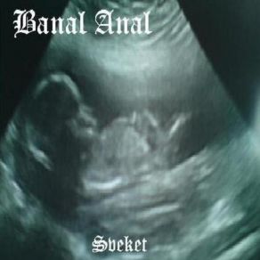 Download track Varför Banal Anal