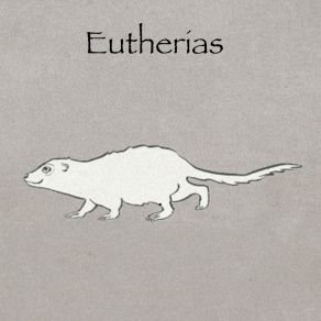 Download track Philosophie Zoologique Eutherias