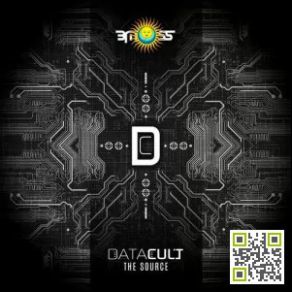 Download track Robot (ManMadeMan Remix) Datacult