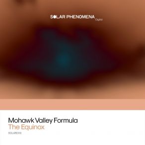 Download track Gregorian Ghost (Original Mix) Mohawk Valley Formula