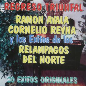 Download track Ahi Perdimos Todo Ramón Ayala