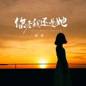 Download track 你爱我还是她 凝音