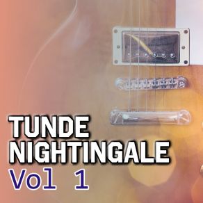 Download track Adoga Tunde Nightingale