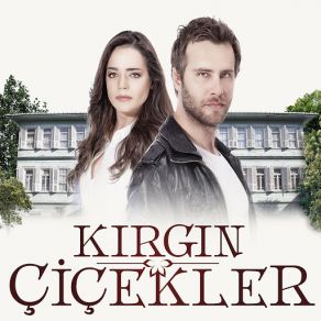 Download track Kırgın Çiçekler Tuna Velibaşoğlu