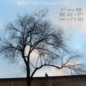 Download track Serendipity (Extended Remix) The Edit King