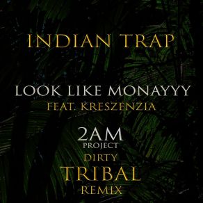 Download track Look Like Monayyy [Dub] (2am Project Dirty Tribal Remix) Kreszenzia