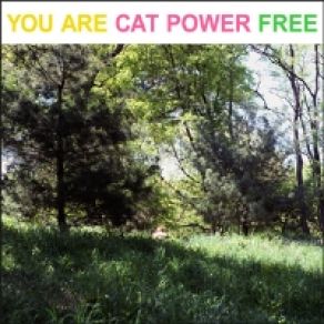 Download track I Don'T Blame You Cat Power, Chan Marshall