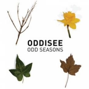 Download track Sand To The Beach Oddisee