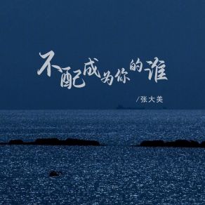 Download track 不配成为你的谁 (伴奏) 张大美