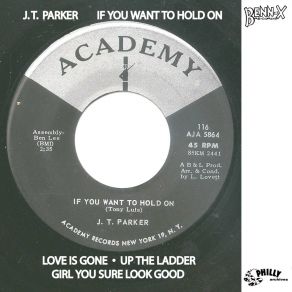 Download track If You Want To Hold On J. T. Parker