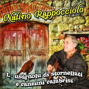 Download track A Custurera Natino Rappocciolo