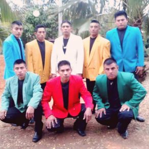 Download track Porque Ya No Tiene Caso Su Grupo Constelacion Tropical